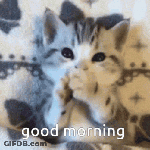 Two Kittens Are Laying On A Blanket And The Words Good Morning Are On The Bottom GIF