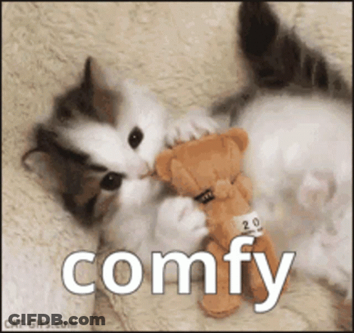 Two Kittens Are Playing With A Teddy Bear And The Word Comfy Is On The Bottom Of The Picture GIF