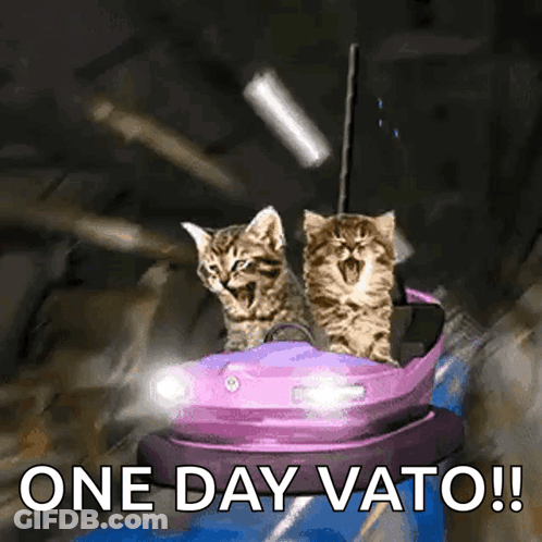 Two Kittens Are Riding On A Purple Bumper Car With The Words One Day Vato Below Them GIF