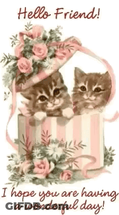 Two Kittens Are Sitting In A Pink Box With Flowers . GIF
