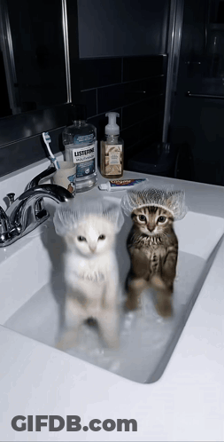 Two Kittens In Bathroom Sink With Listerine GIF