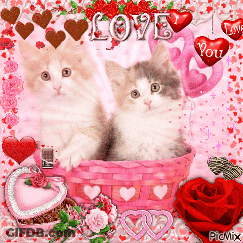 Two Kittens In Pink Basket With Hearts And Love GIF