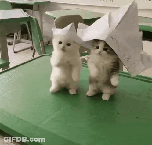 Two Kittens On Green Table One Wearing Paper Hat GIF