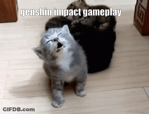 Two Kittens Playing Genshin Impact Gameplay GIF
