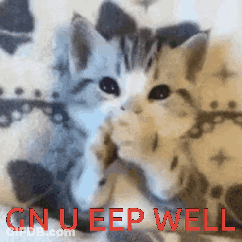 Two Kittens Red Text Gn U Eep Well GIF