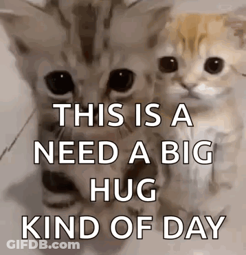 Two Kittens Saying This Is A Need A Big Hug Kind Of Day GIF