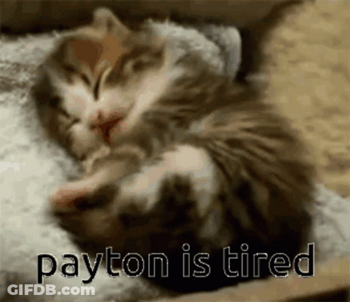 Two Kittens Sleeping Saying Payton Is Tired GIF