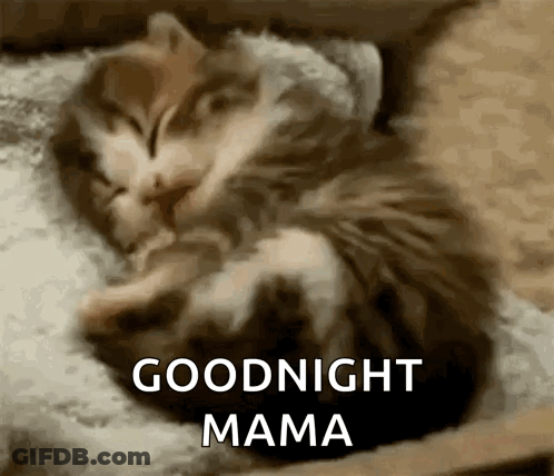 Two Kittens Sleeping Together GIF