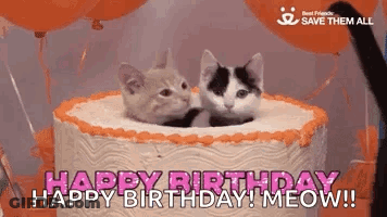 Two Kittens Sticking Heads Out Of Cake GIF
