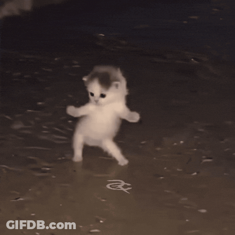 Two Kittens Walking In Dark One With Letter A GIF