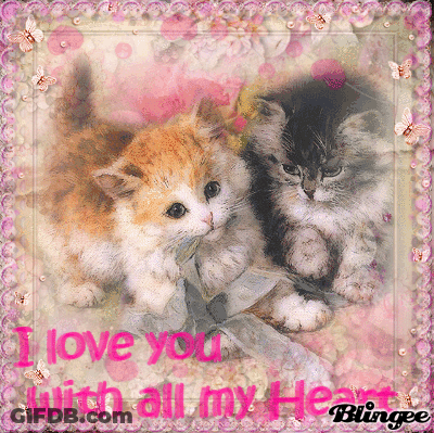 Two Kittens With I Love You Heart GIF