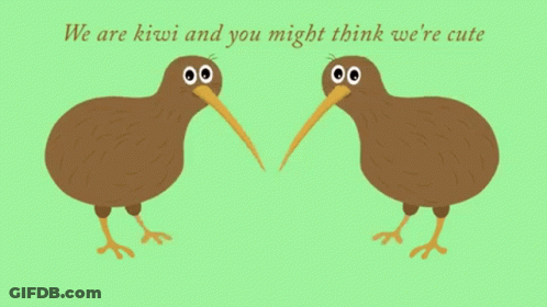 Two Kiwi Birds Are Standing Next To Each Other With A Kiwi Slice In Front Of Them GIF