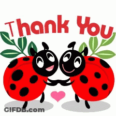Two Ladybugs Hugging Saying Thank You GIF