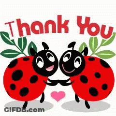 Two Ladybugs Hugging Saying Thank You GIF