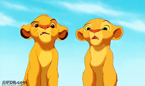 Two Lion Cubs From The Lion King Are Looking Up At The Sky GIF