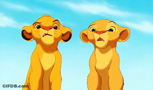Two Lion King Cubs Sitting Together GIF