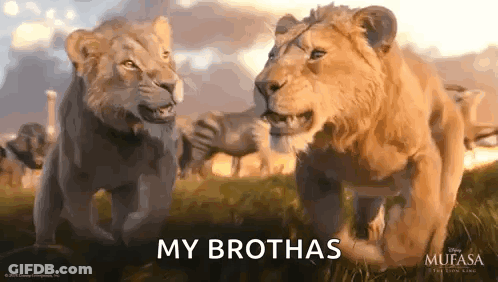 Two Lions Standing Together Saying My Brothas GIF