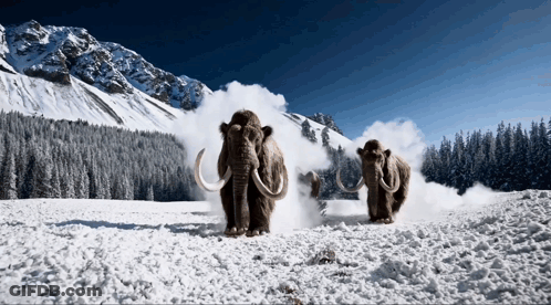 Two Mammoths Are Walking Through A Snowy Field In The Mountains GIF