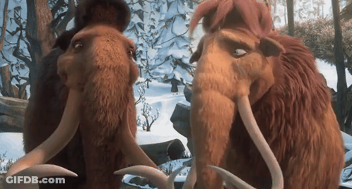 Two Mammoths Standing In Snow GIF