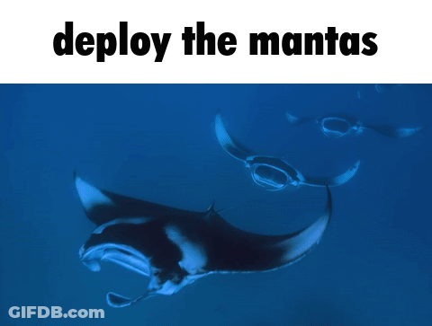 Two Manta Rays Swimming With Deploy The Manta GIF