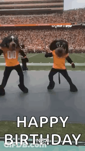 Two Mascots Are Dancing On A Field With The Words Happy Birthday GIF