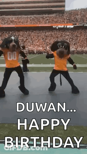 Two Mascots Are Dancing On A Football Field With The Words Duwan ... Happy Birthday Written Below Them . GIF