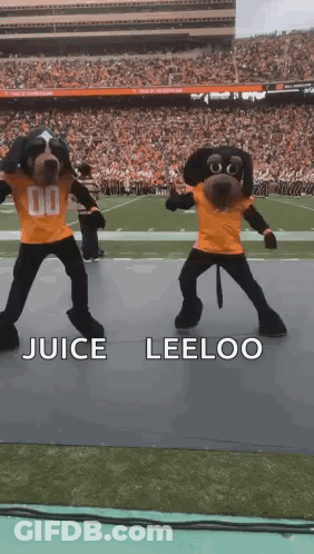Two Mascots Dancing With Juice Leeloo GIF