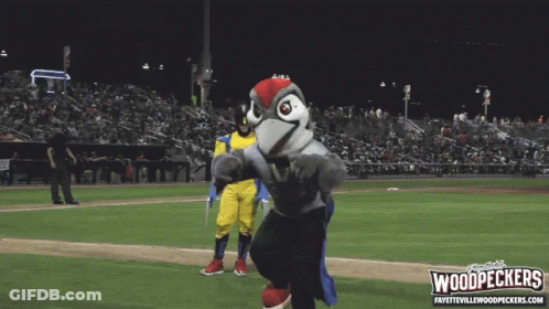 Two Mascots On Baseball Field With Woodpeckers Logo GIF