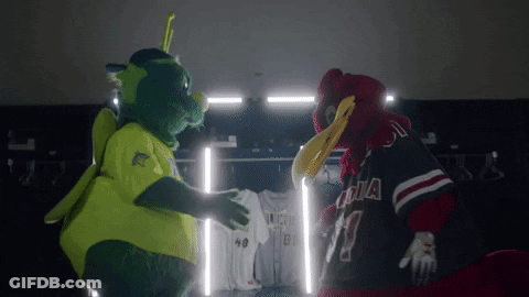 Two Mascots Standing Next To Each Other One Wearing Arizona Jersey GIF
