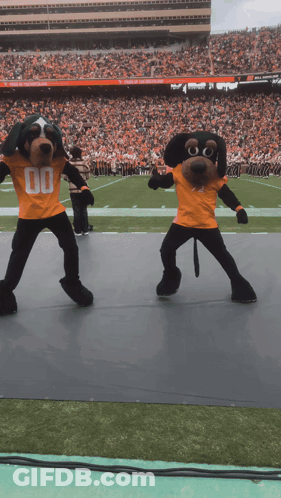 Two Mascots Wearing Orange Shirts With The Number 00 GIF
