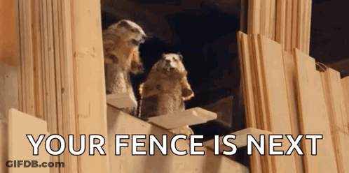 Two Meerkats Are Standing On Top Of A Wooden Fence With The Words `` Your Fence Is Next '' Written Above Them . GIF