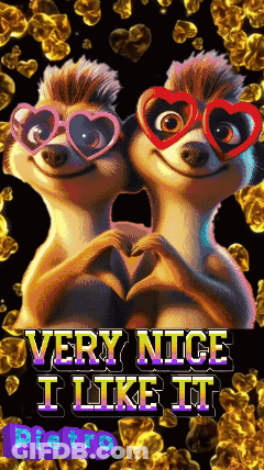 Two Meerkats Wearing Heart Shaped Glasses Are Making A Heart Shape With Their Hands And The Words Very Nice I Like It GIF