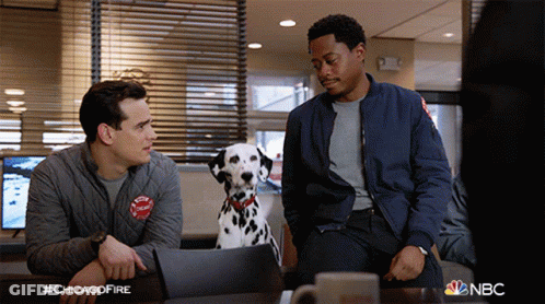 Two Men And Dalmatian Sitting At Table With NBC GIF