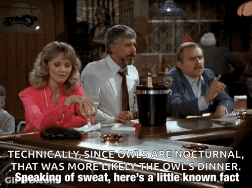 Two Men And Woman Talking At Bar GIF