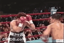 Two Men Are Fighting In A Boxing Ring And One Of Them Has The Letter P On His Shorts GIF
