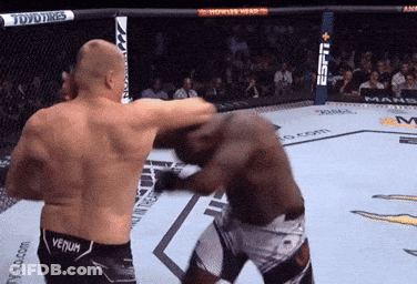 Two Men Are Fighting In A Boxing Ring And One Of Them Has Venum On His Shorts GIF