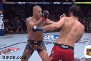 Two Men Are Fighting In A Boxing Ring And One Of Them Is Wearing A Venum Shorts GIF