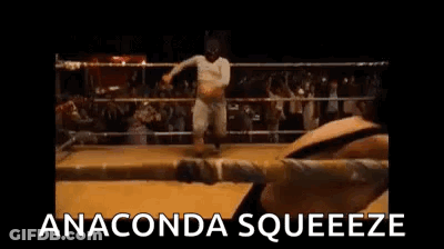 Two Men Are Fighting In A Boxing Ring And The Words `` Anaconda Squeeze '' Are Written On The Screen . GIF
