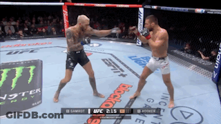 Two Men Are Fighting In A Boxing Ring Sponsored By Budweiser And UFC GIF