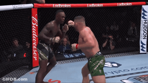 Two Men Are Fighting In A Boxing Ring With A Budweiser Banner On The Fence GIF