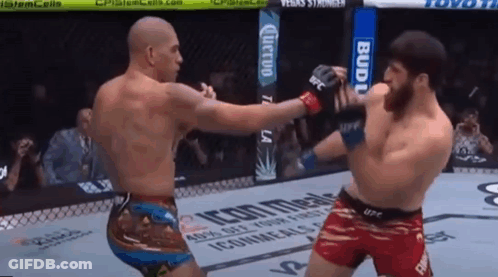 Two Men Are Fighting In A Boxing Ring With A Budweiser Sign In The Background GIF