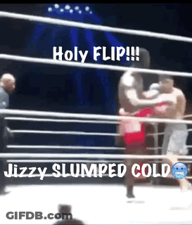 Two Men Are Fighting In A Boxing Ring With A Caption That Says Holy Flip GIF