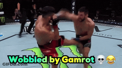Two Men Are Fighting In A Boxing Ring With The Words Wobbled By Gamrot Above Them GIF