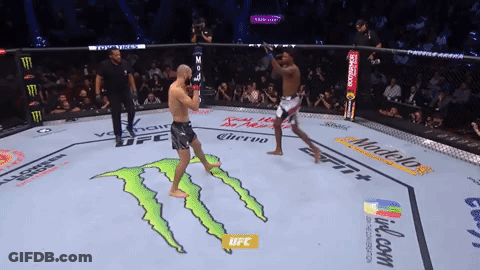 Two Men Are Fighting In A Boxing Ring With UFC Written On The Floor GIF