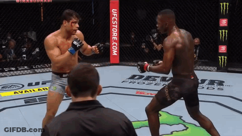 Two Men Are Fighting In A Boxing Ring With Ufcstore.com Written On The Corner GIF