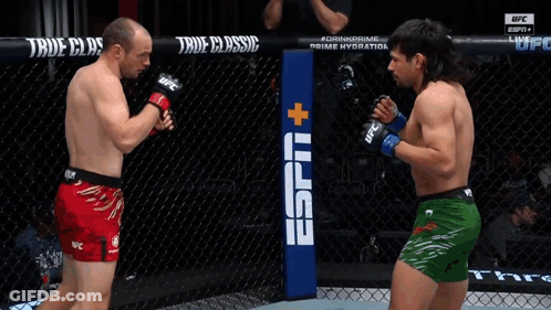 Two Men Are Fighting In A Cage And One Of Them Is Wearing Green Shorts That Say UFC GIF