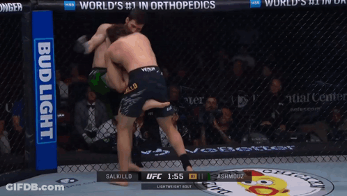 Two Men Are Fighting In A Cage With A Bud Light Banner On The Side GIF