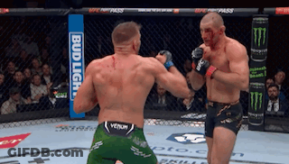 Two Men Are Fighting In A Cage With A Bud Light Sign In The Background . GIF