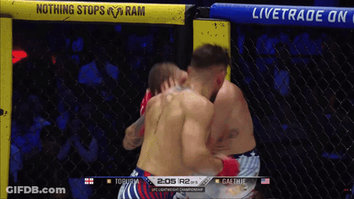Two Men Are Fighting In A Cage With A Sign That Says Livetrade On It GIF