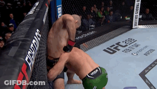Two Men Are Fighting In A Cage With A Sign That Says Ufc On It GIF
